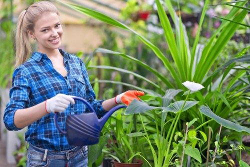 Gardeners Thornton Heath pricing explained with free quotes