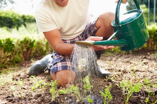 Professional garden maintenance for a Thornton Heath home