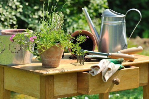 Professional hedge cutting and shaping in Thornton Heath