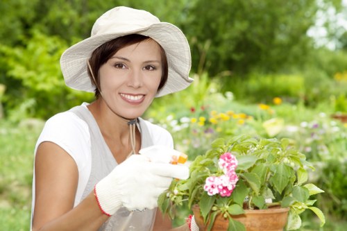 Skilled gardeners shaping a residential garden in Thornton Heath