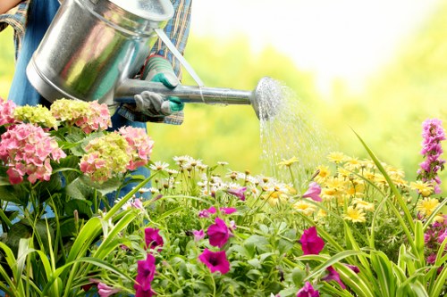 Green waste and debris cleared from a Thornton Heath garden