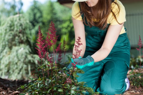Liability and cancellation terms for garden maintenance services