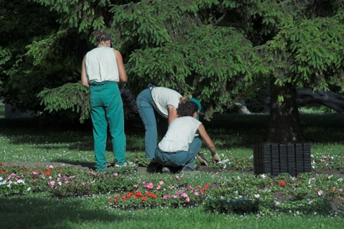 Professional garden maintenance in Thornton Heath