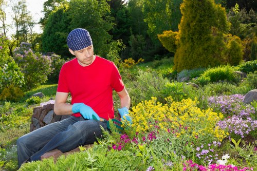 Well-kept Thornton Heath lawn after professional care and maintenance