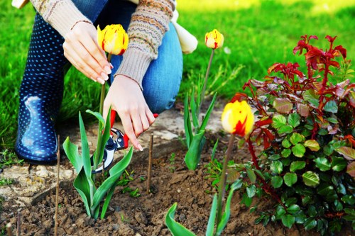 SSL-protected payment process for Thornton Heath gardening services