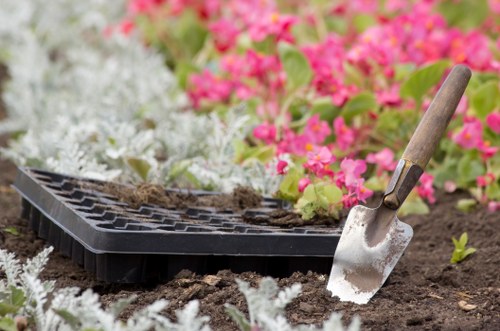 Professional gardeners in Thornton Heath applying safety procedures
