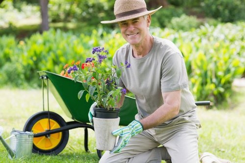 Seasonal garden care and tidy outdoor space in Thornton Heath