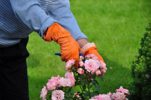 Finished garden care result by Gardeners Thornton Heath