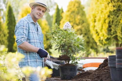 Insured garden maintenance service in Thornton Heath with safety equipment