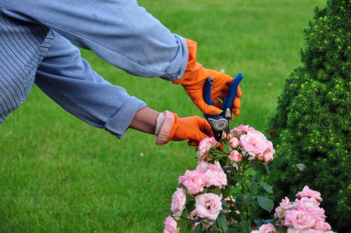 Garden maintenance issue being assessed carefully