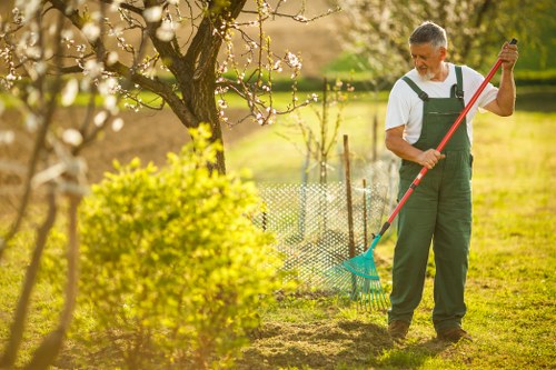 Professional grass cutting in a Thornton Heath yard