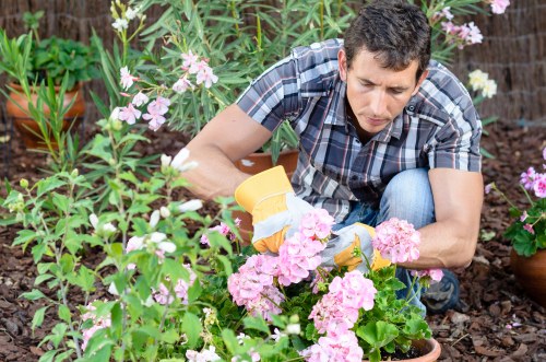 Supplier audit and compliance checks for Thornton Heath gardeners